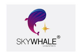 SKYWHALE SA DE CV