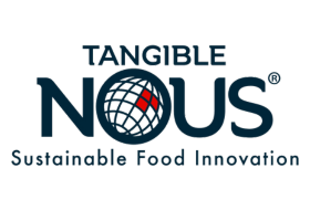 TANGIBLE NOUS S.A DE C.V